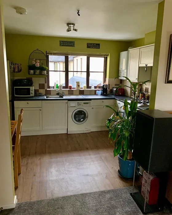 Little Greene Pale Lime 70 kitchen