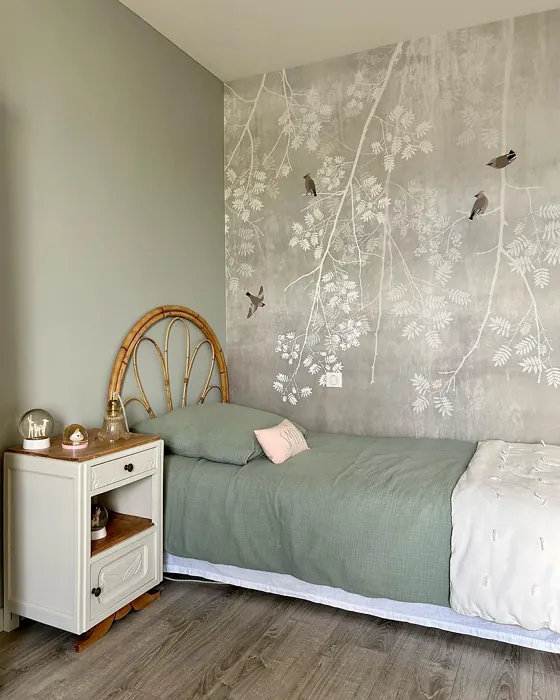 Little Greene Pearl Colour - Dark boho bedroom color review