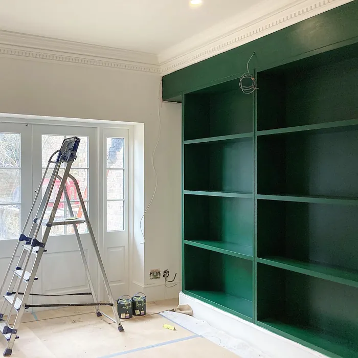 Green library cabinets Little Greene Puck wall paint