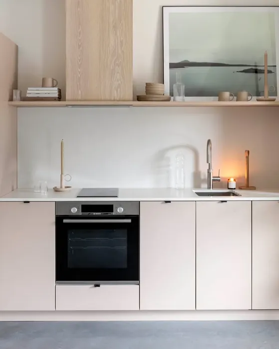 Roman Plaster kitchen cabinets 