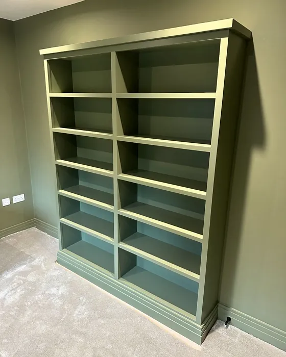 Sage Green painted storage 