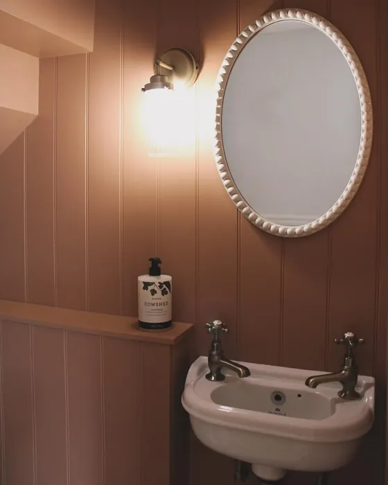 Little Greene Split Pink bathroom color review