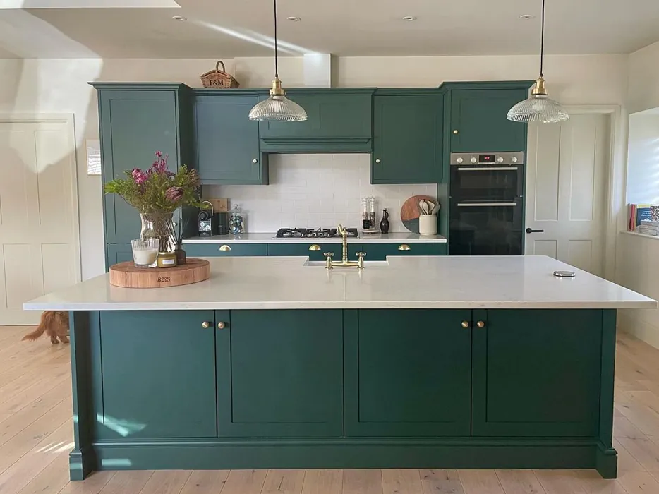 Little Greene Three Farm Green 306 kitchen cabinets