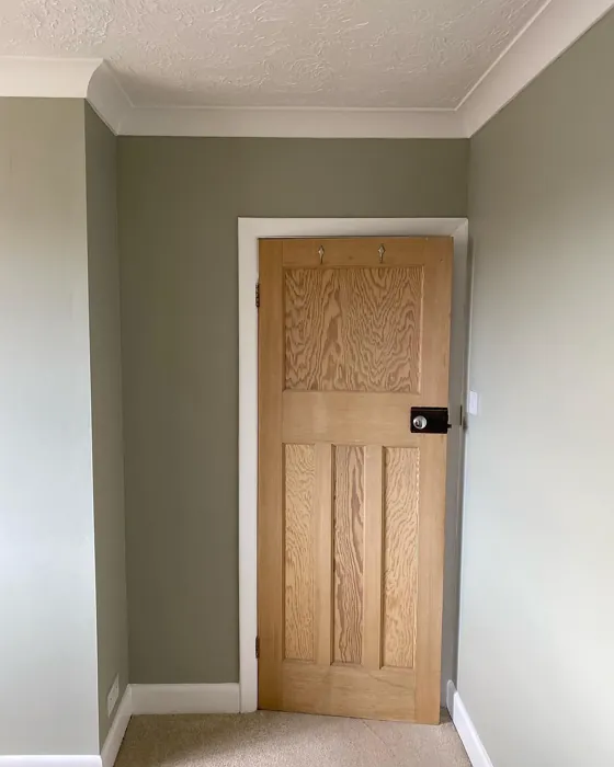 Tracery II wall paint color