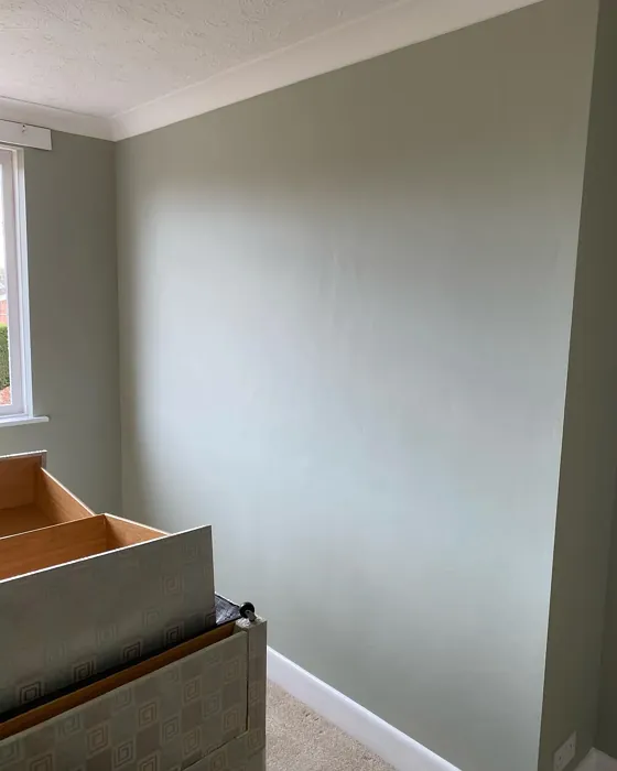 Tracery II wall paint color review