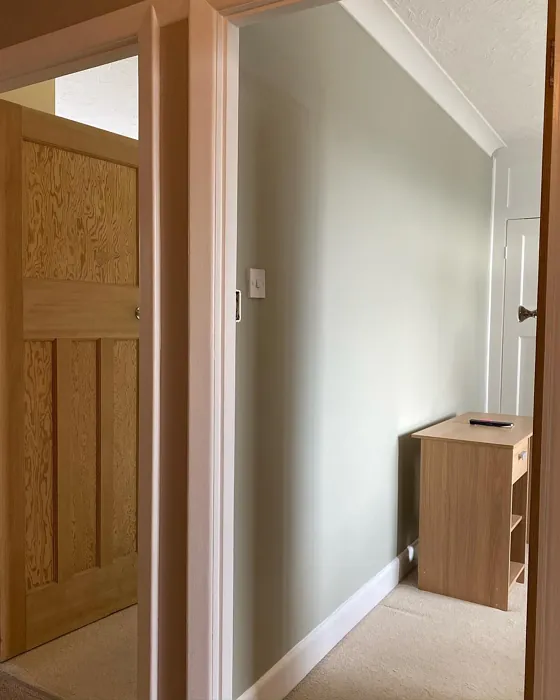 Little Greene Tracery II wall paint color review