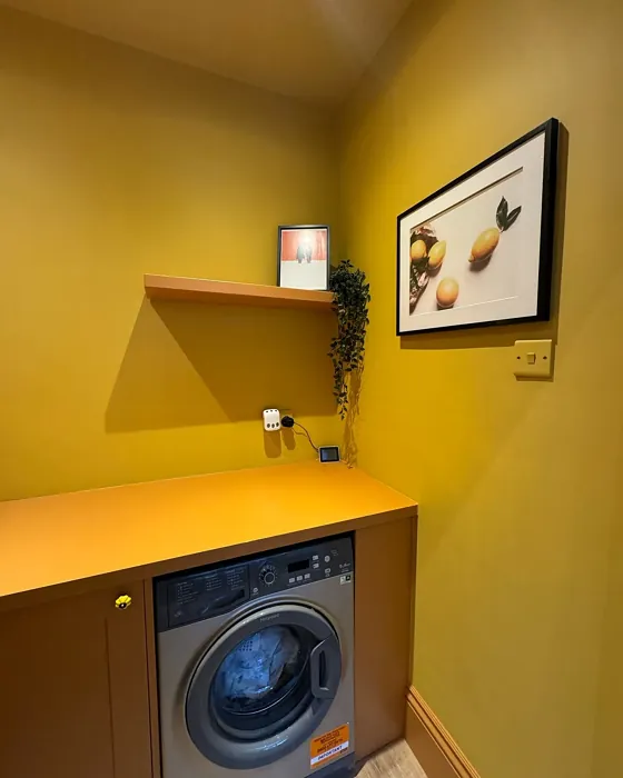 Little Greene Yellow-Pink laundry room paint