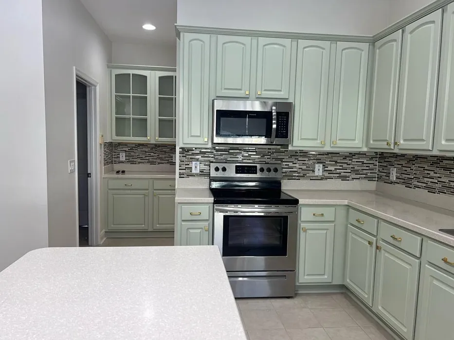 Sw Liveable Green Kitchen Cabinets