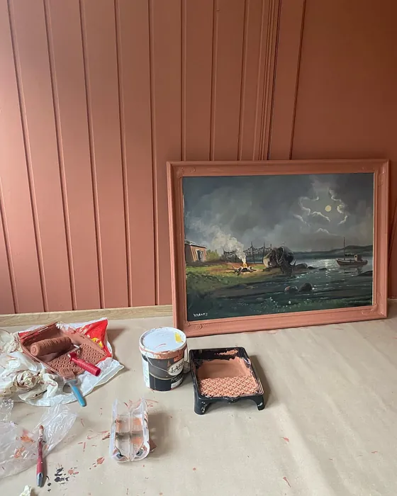 Jotun Lively Red wall paint review