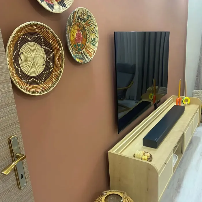 Lively Red living room color