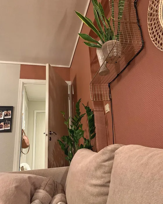 Lively Red living room picture