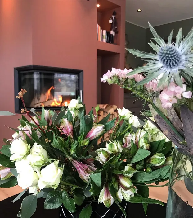 Jotun Lively Red living room color