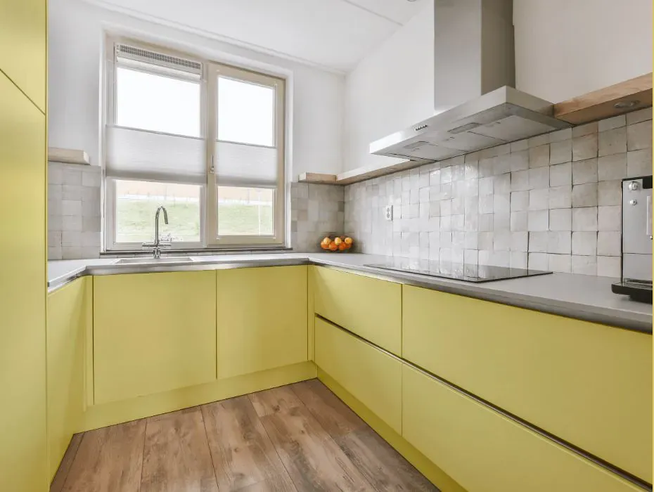 Sherwin Williams Lively Yellow small kitchen cabinets