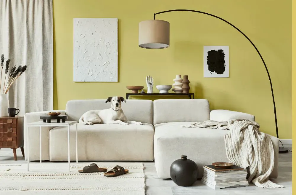 Sherwin Williams Lively Yellow cozy living room