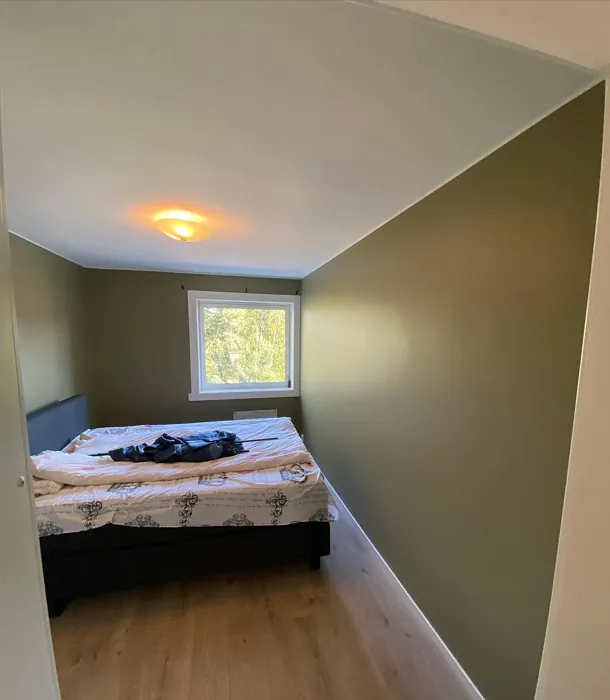 Jotun Local Green bedroom paint review