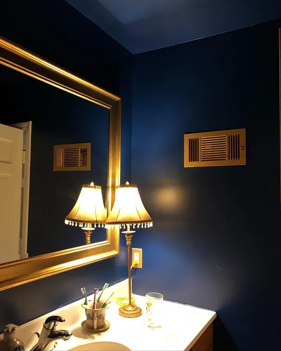SW 6510 bathroom paint