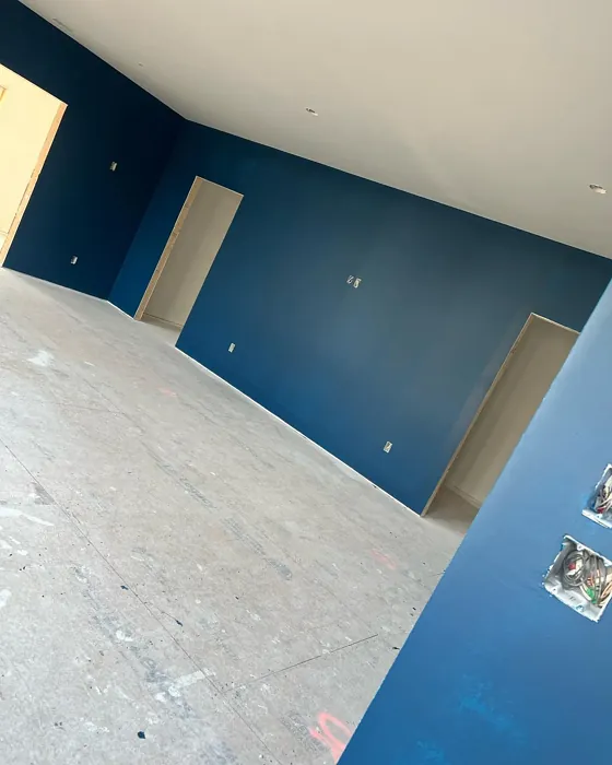 Sherwin Williams Loyal Blue wall paint review