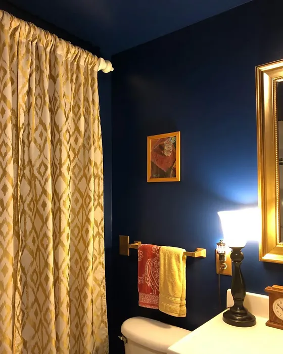 SW Loyal Blue bathroom color