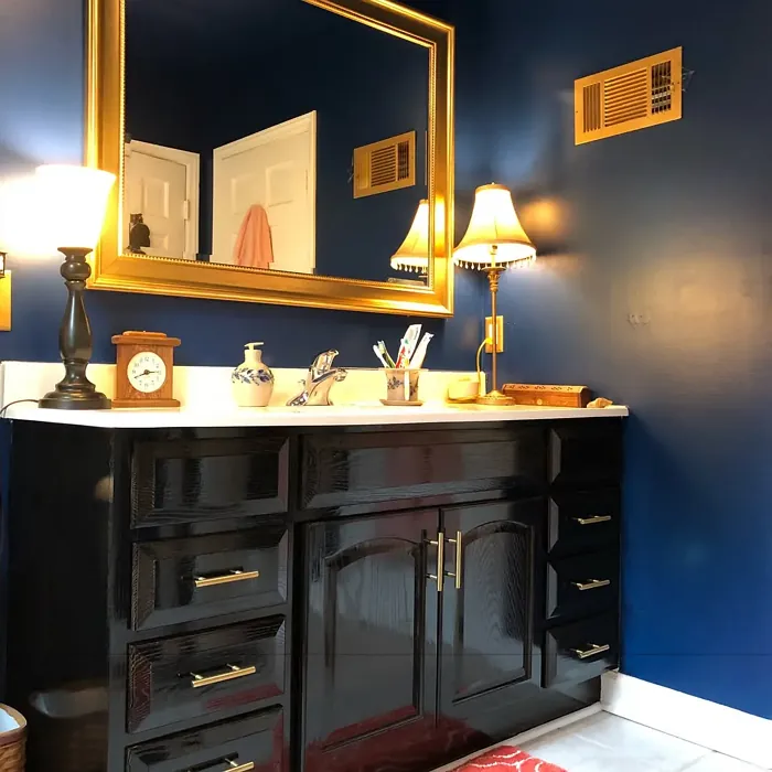 SW Loyal Blue bathroom paint review