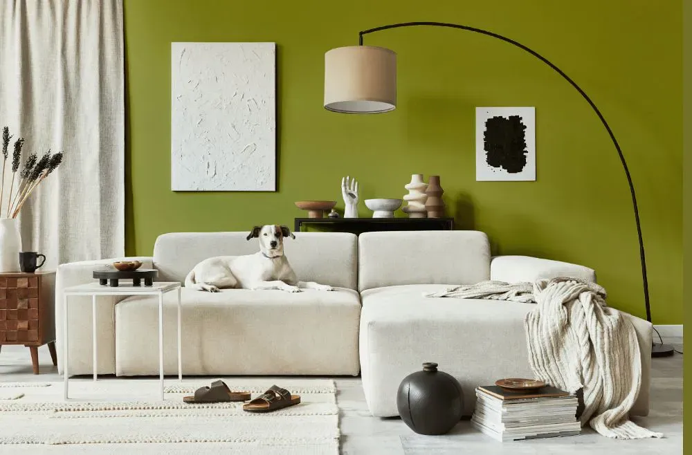 Sherwin Williams Luau Green cozy living room