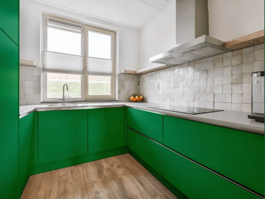 Sherwin Williams Lucky Green small kitchen cabinets