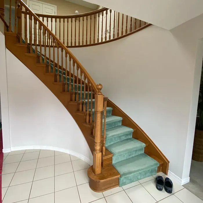 Sherwin Williams Lunar Lite stairs color