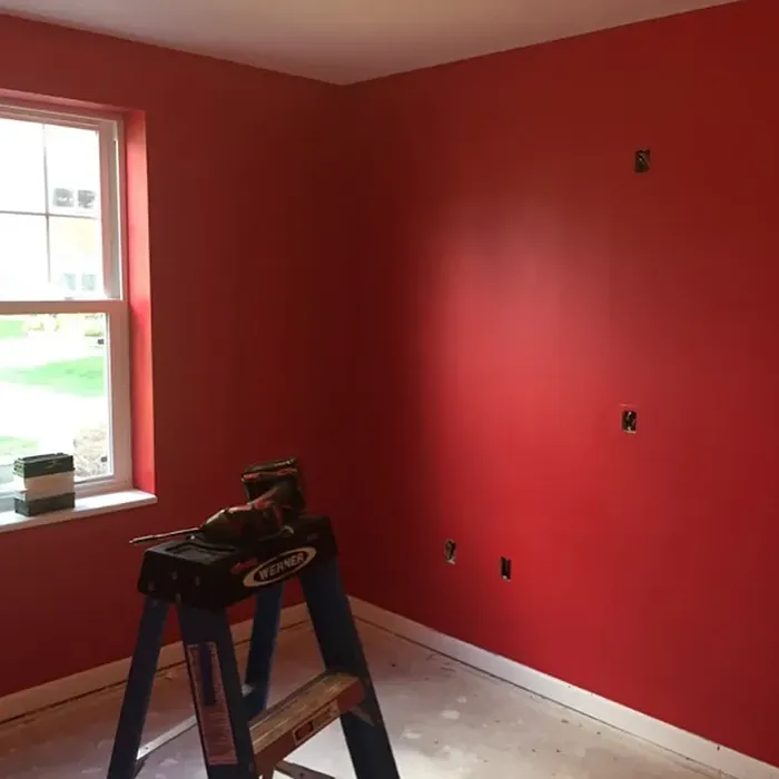 SW Lusty Red wall paint 