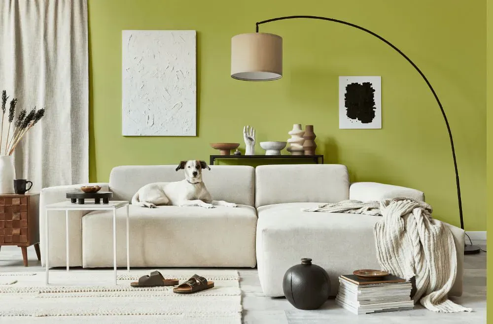 Sherwin Williams Mélange Green cozy living room