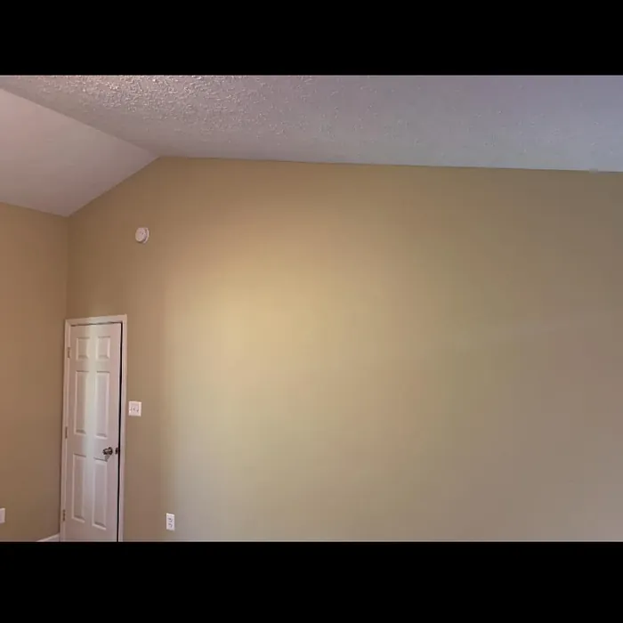 Sherwin Williams Macadamia wall paint color