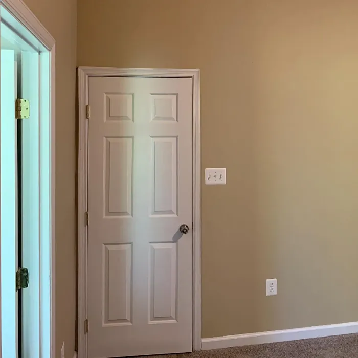 SW Macadamia wall paint color