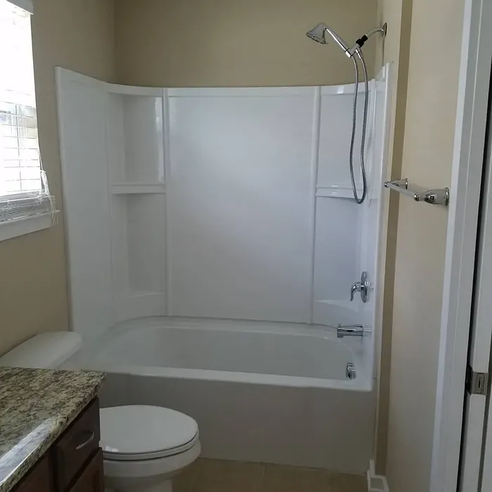 SW Macadamia bathroom color