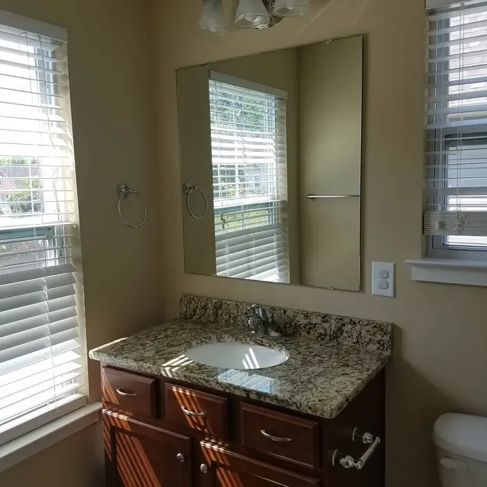 SW Macadamia bathroom color review