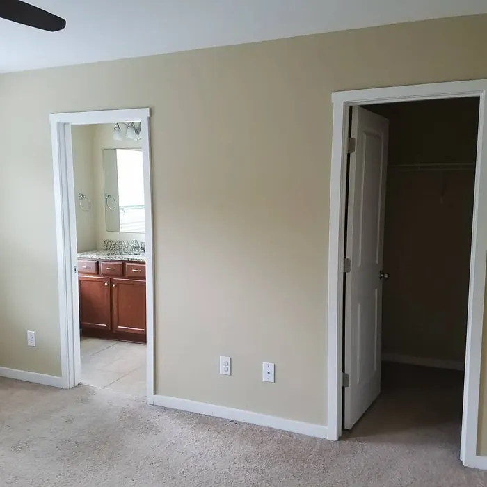 SW Macadamia wall paint picture