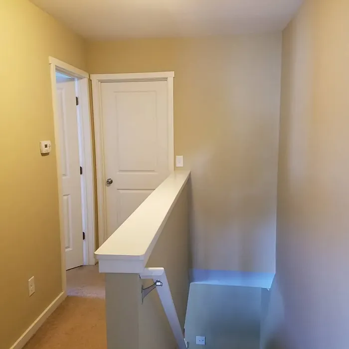 SW Macadamia hallway color