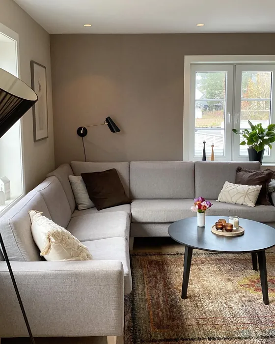 Jotun Macchiato living room color review