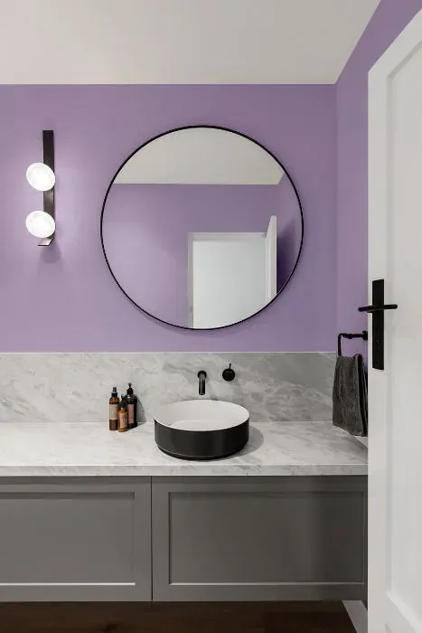 Sherwin Williams Magical minimalist bathroom