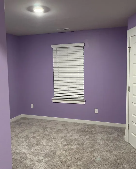 Sherwin Williams Magical wall paint review