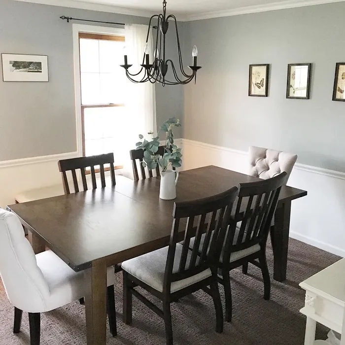 Magnetic Gray cozy dining room paint review