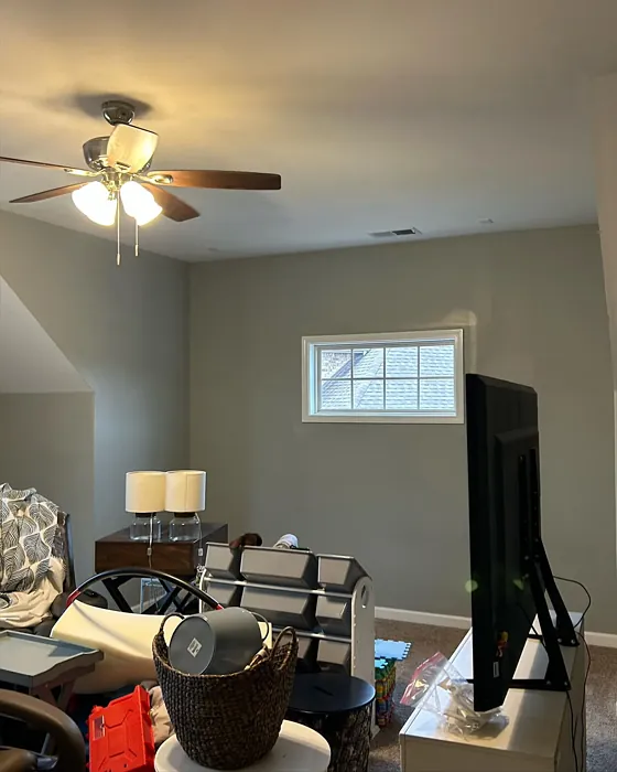 Magnetic Gray cozy living room paint