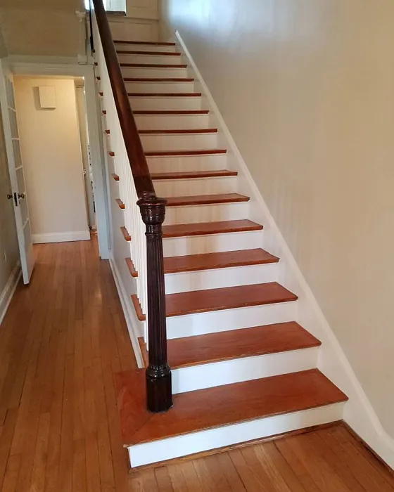 Sherwin Williams Maison Blanche Stairs