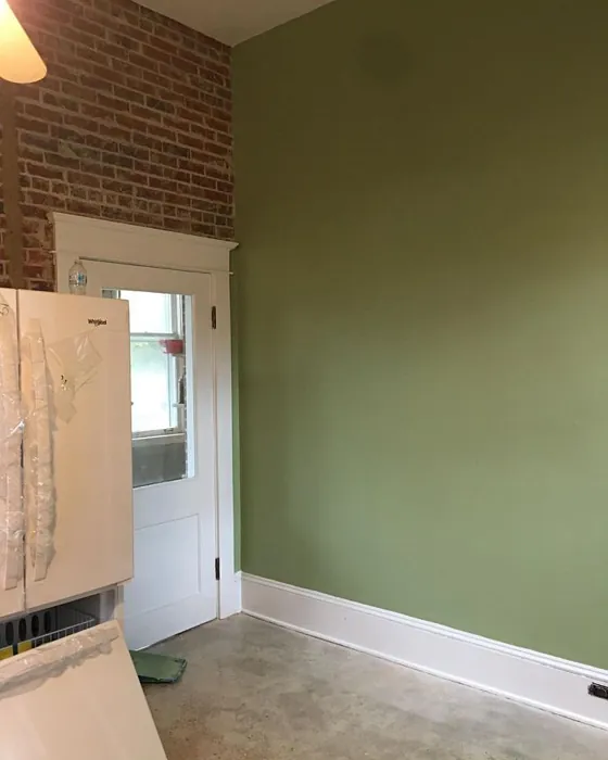Majolica green accent wall