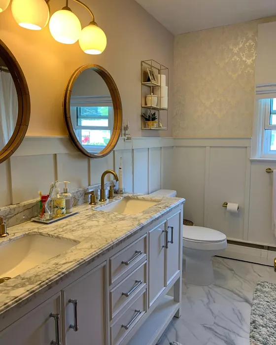 Sherwin Williams Malted Milk bathroom paint review