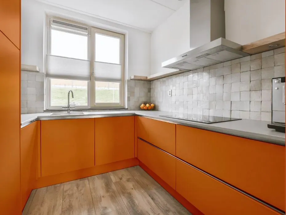 Sherwin Williams Marquis Orange small kitchen cabinets