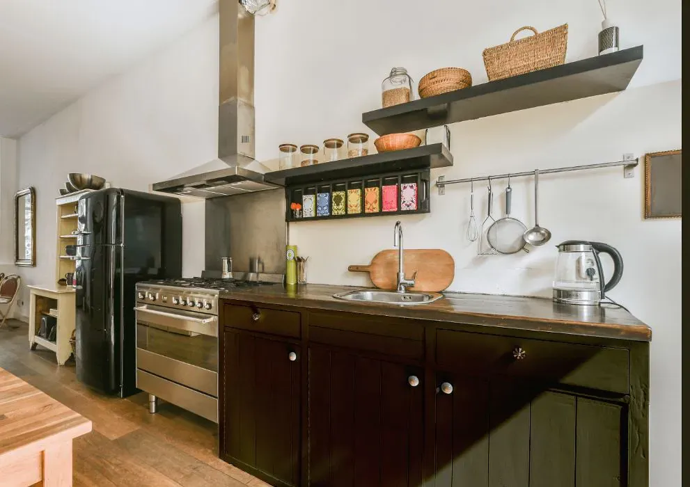 Sherwin Williams Marsh Fern kitchen cabinets