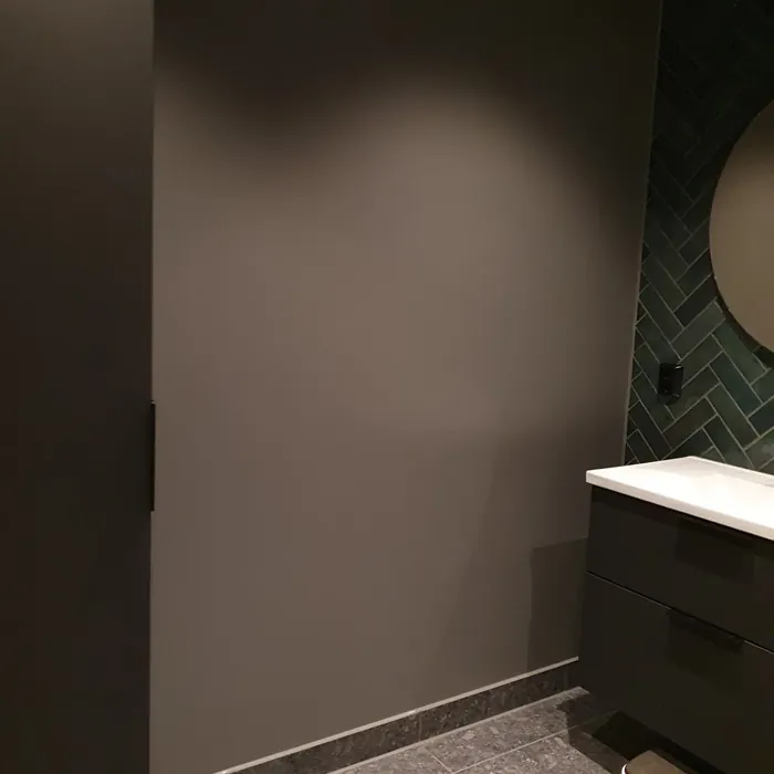 Jotun Matrix cozy bathroom color