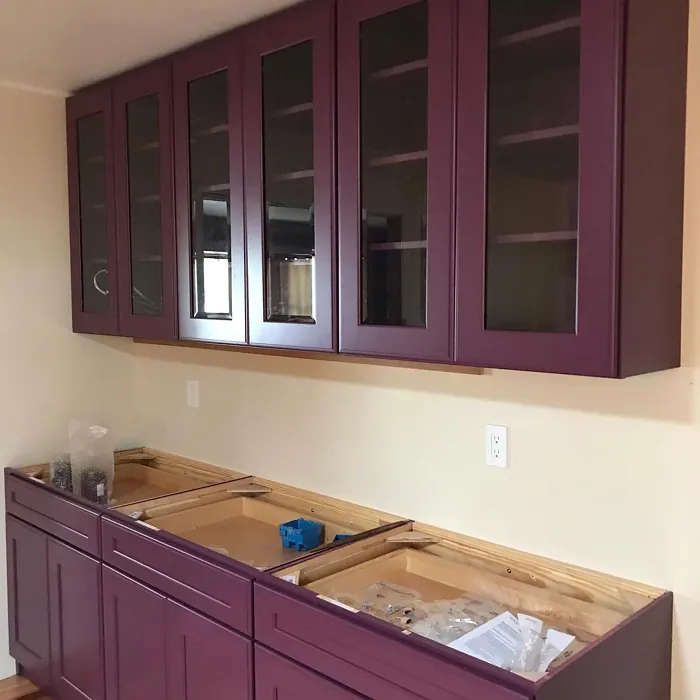 Sw Mature Grape Kitchen Cabinets