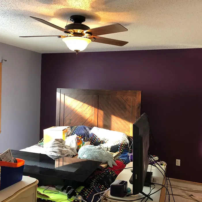 SW Mature Grape bedroom accent wall photo