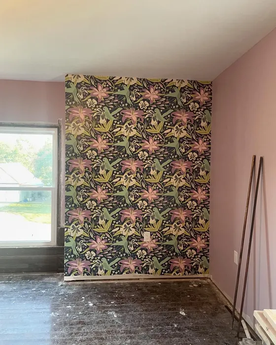 Mauve Finery wall paint 