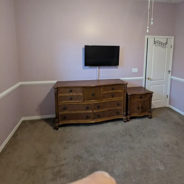 SW Mauve Finery wall paint color review