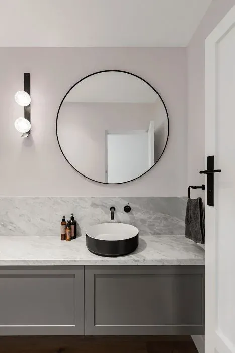 Sherwin Williams Mauve Tinge minimalist bathroom